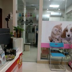 洪星1998寵物店詳細(xì)信息 電話、地址、價(jià)格、營業(yè)時(shí)間及圖片