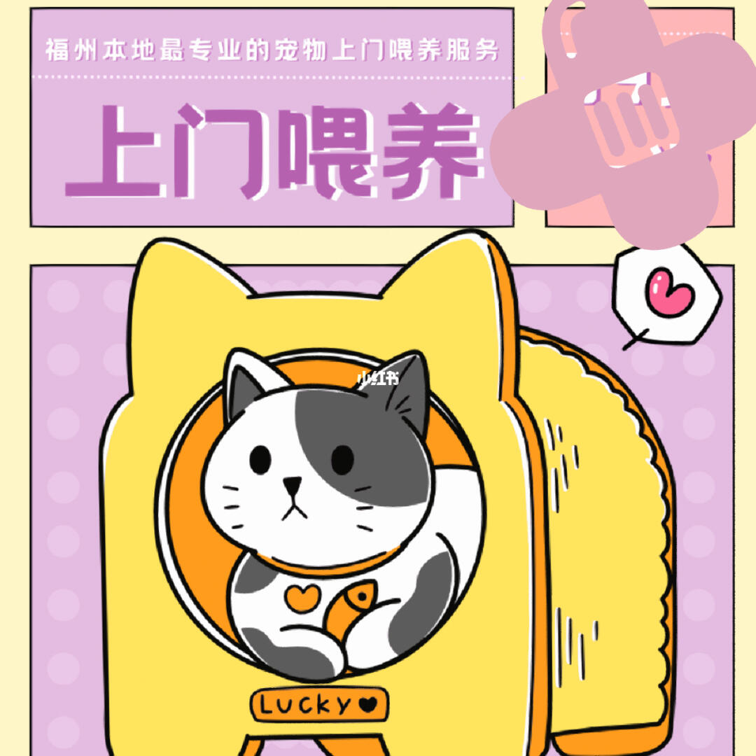 春節(jié)期間福州寵物上門喂養(yǎng)服務(wù)接單忙，用心守護(hù)毛孩子過年團(tuán)圓